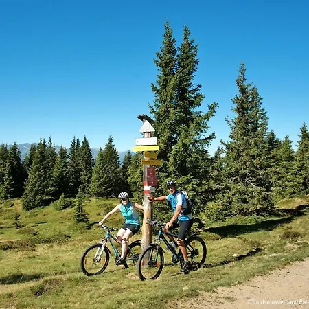 Emma-1 By Interhome Appartement Durnberg (Piesendorf)